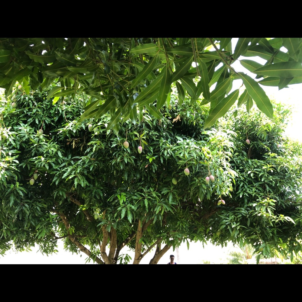 Meet your Posher, Bibi n.